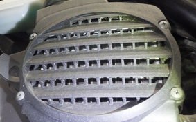 HONDA ZOOMER 2026 AF58