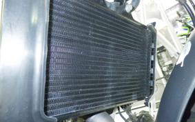 HUSQVARNA SVARTPILEN 250 2013