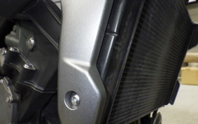 TRIUMPH TRIDENT 660 2023