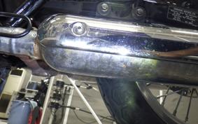 KAWASAKI W800 STREET 2022 EJ800E