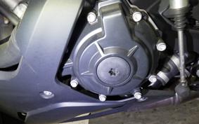 BMW S1000RR M DDC 2024