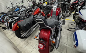 HARLEY FLSTF1340-1450 2016 BXV