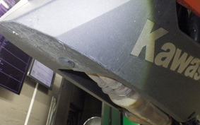 KAWASAKI NINJA 250 EX250L