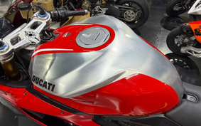 DUCATI 1199PANIGA-RER 2014 ZDMH802JADB