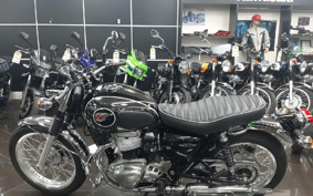 KAWASAKI W800 2022 EJ800E
