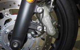 TRIUMPH SPEED TWIN 900 2024