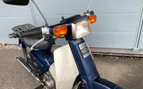 HONDA SUPER CUB50 C50