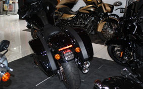 HARLEY  HARLEY FXLRST 2024 YXZ