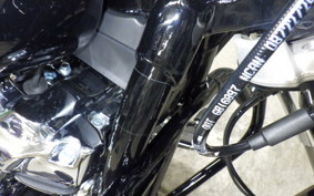 HARLEY FLFB1920 2025