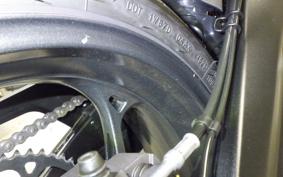 TRIUMPH DAYTONA 660 2024