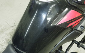 SUZUKI Vｽﾄﾛｰﾑ250 2007