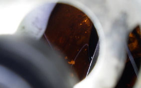 HONDA CBR600RR GEN 2 2005 PC37