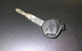 HONDA TACT-4ﾍﾞｰｼｯｸ AF79