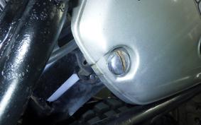 HONDA ELSINORE 250 1983 MT250