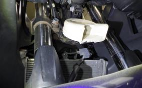 YAMAHA YZF-R25 A 2024 RG10J