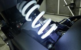 HUSQVARNA SVARTPILEN 401 2022