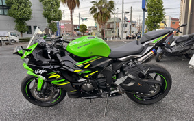 KAWASAKI NINJA ZX-6R 2019 ZX636G