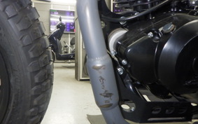 OTHER +UNREGISTERED MODEL by BDS250