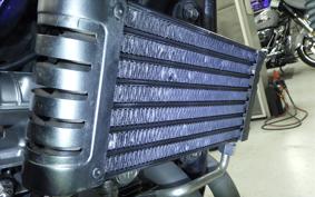 KAWASAKI ZEPHYR 750 2025