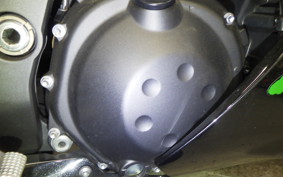 KAWASAKI ZX 1400 NINJA R A 2021