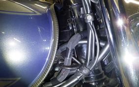 KAWASAKI W800 2023 EJ800E