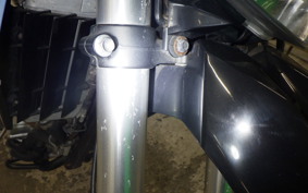 KAWASAKI KLX250D TRACKER X LX250V