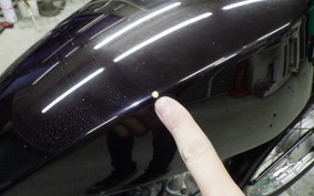 HONDA SOLO 2009 AC17