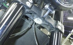 TRIUMPH TRIDENT 660 2023