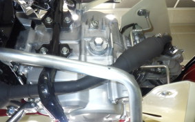 HONDA C50 SUPER CUB 2025 AA09