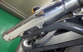 HARLEY XL1200XS 2019