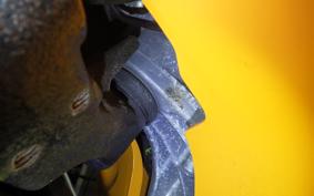 HONDA ZOOMER 2019 AF58