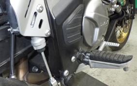 SUZUKI Vｽﾄﾛｰﾑ650XTA 2021 C733A