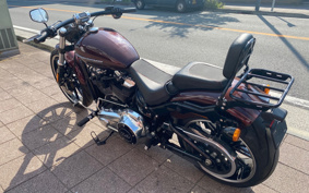 HARLEY FXBRS 2019 YHK