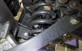 KAWASAKI NINJA 250 EX250L