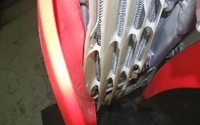 HONDA CRF250X 2025