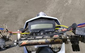 KAWASAKI D-TRACKERX LX250V