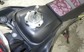 YAMAHA WR250X 2020 DG15J