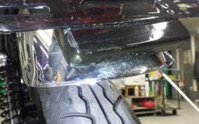 KAWASAKI W800 2024 EJ800E