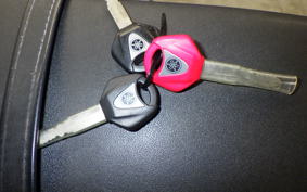 YAMAHA MT-09 A 2015 RN34J