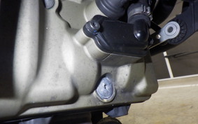 DUCATI MONSTER 821 2020