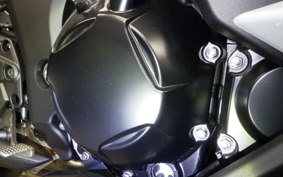 KAWASAKI NINJA 1100SX 2025