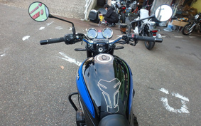 KAWASAKI Z900RS 2024 ZR900K