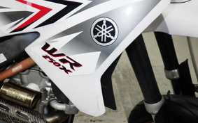 YAMAHA WR250X 2021 DG15J