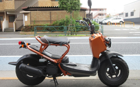HONDA ZUMAR AF58