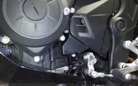 YAMAHA MT-25 RG43J
