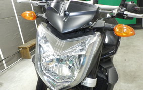 YAMAHA FZ1 FAZER 2013 RN21J