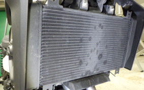 KAWASAKI ELIMINATOR400-3 2025 EL400A