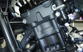 HONDA REBEL 250 A 2007 MC49