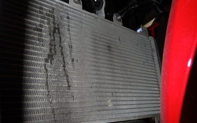 KAWASAKI NINJA 250 EX250P