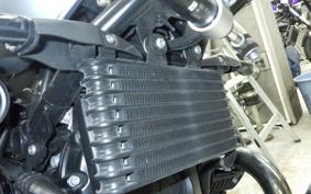 BMW R NINE T SCRAMBLER 2024